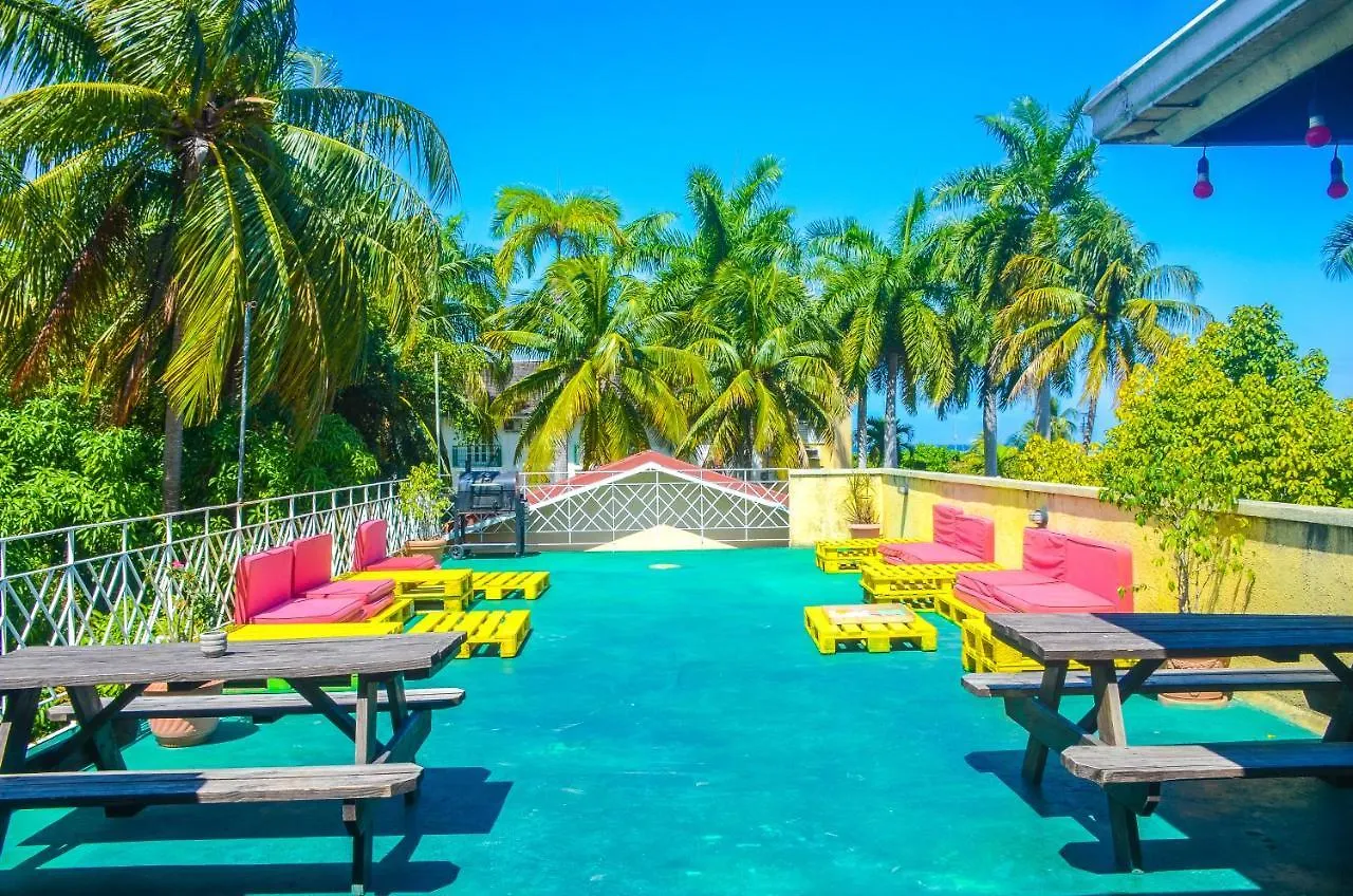 Reggae Hostel 奥乔里奥斯 牙买加