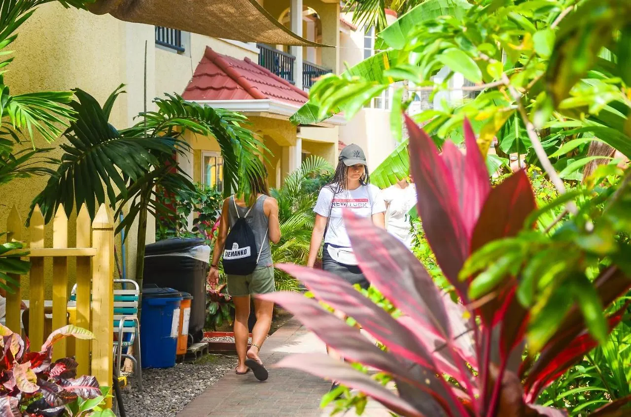Reggae Hostel オーチョ・リオス